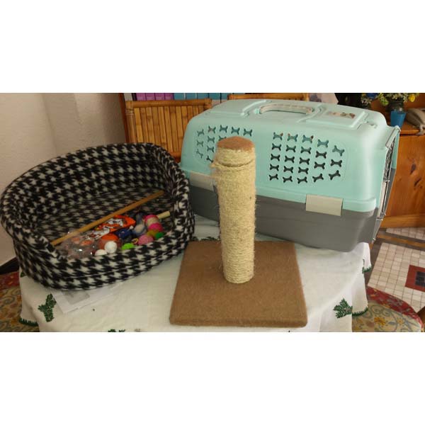 REGALO transportin y cama de gato o perro REGALO transportin y cama de gato o perro